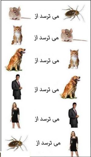 عکس