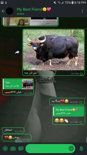 عکس