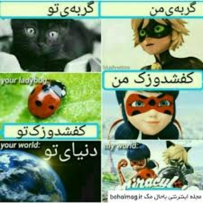 عکس