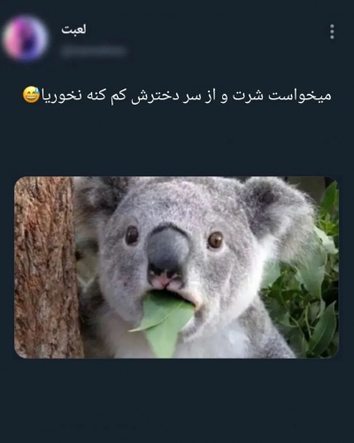 😂ــــــــــــ🫡