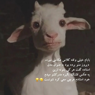 عکس