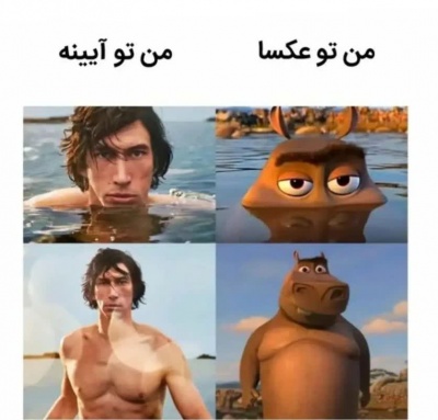 عکس