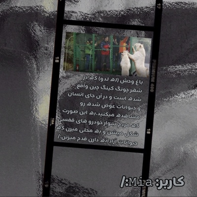 عکس