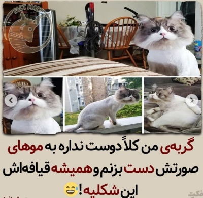عکس