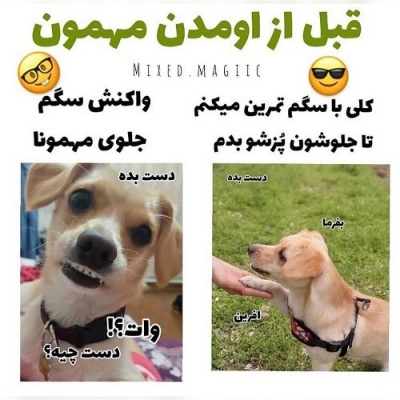 عکس
