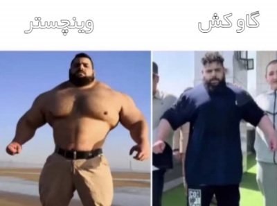 عکس