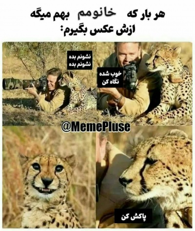 عکس