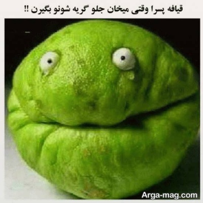 عکس