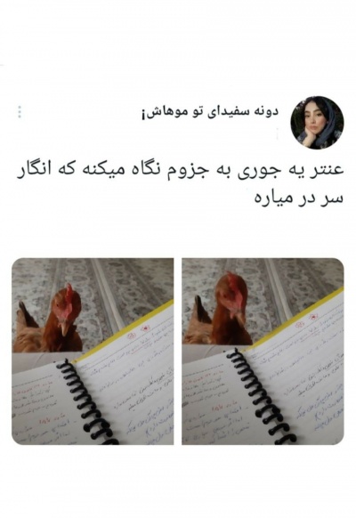 عکس