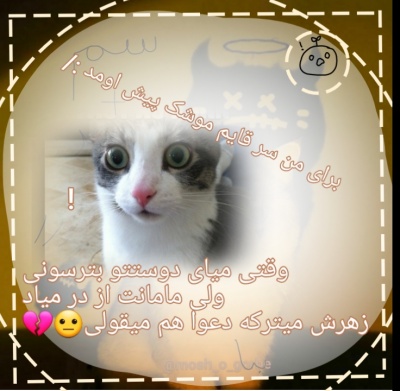 عکس