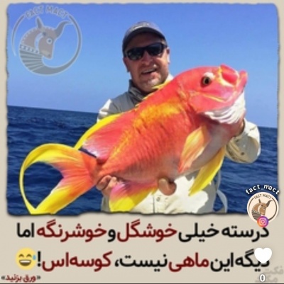 منم یهو فک کردم ماهیه 😐