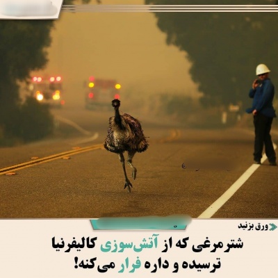 عکس
