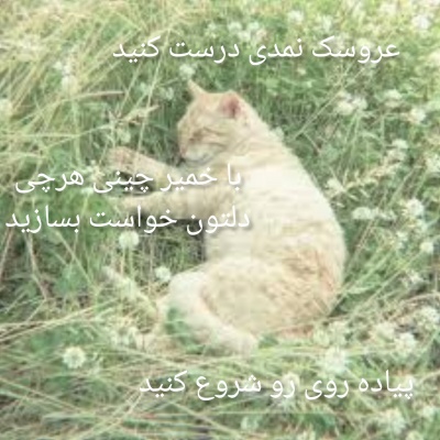 عکس