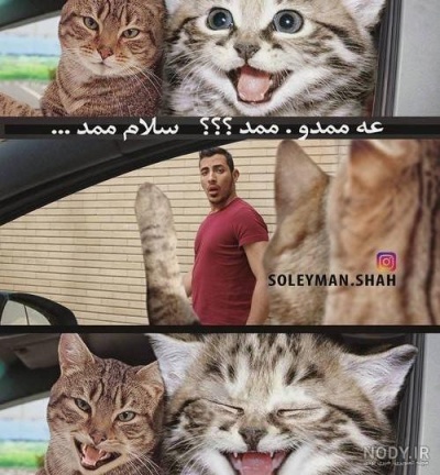 عکس