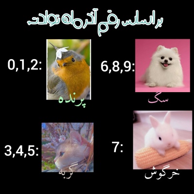عکس