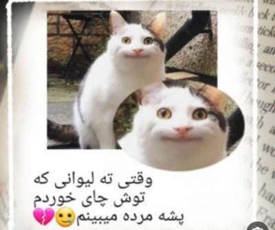 عکس