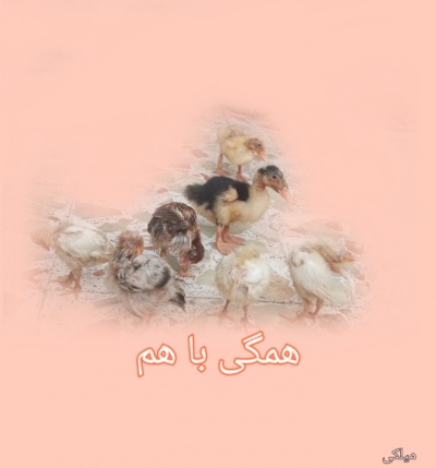 عکس