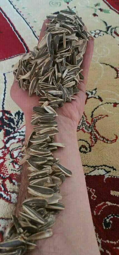 عکس