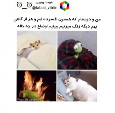 عکس