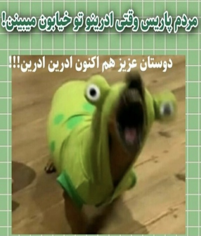 عکس