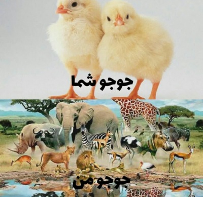 عکس