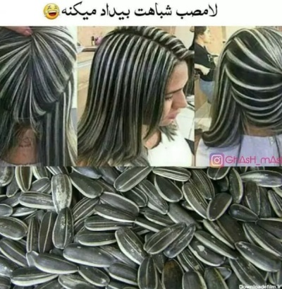 عکس