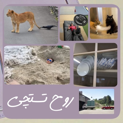 عکس