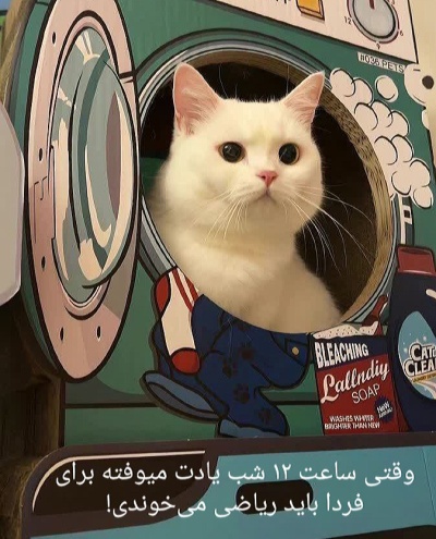 عکس
