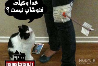 عکس