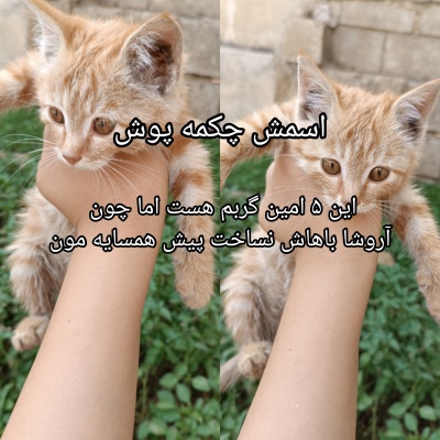 عکس