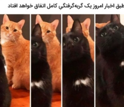 عکس
