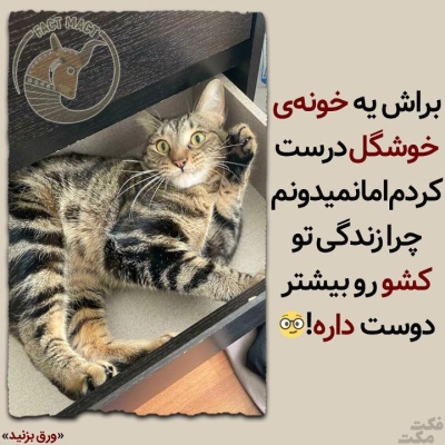 عکس