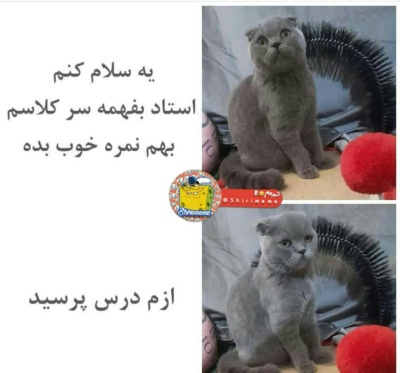 عکس