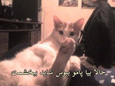 عکس