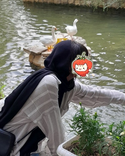 عکس