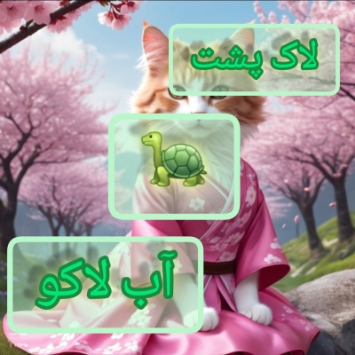 عکس