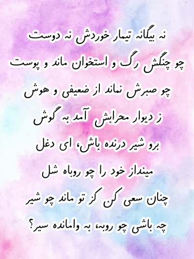 عکس