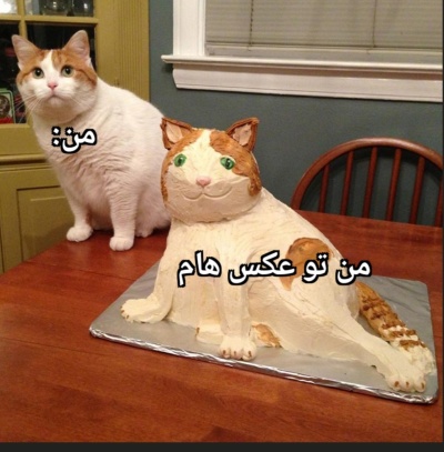 عکس