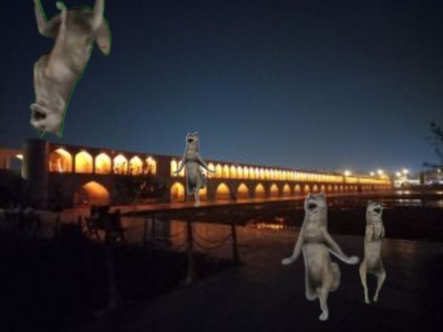 عکس