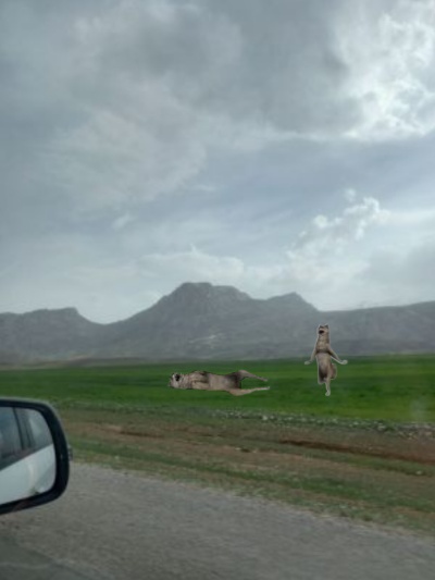 عکس