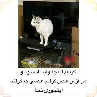 عکس