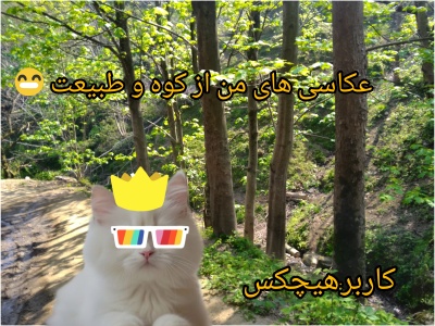 عکس