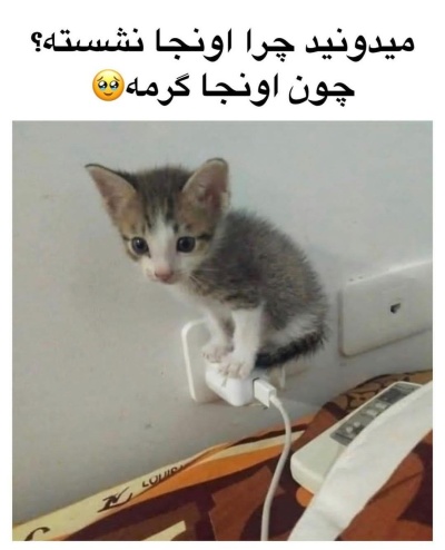 عکس