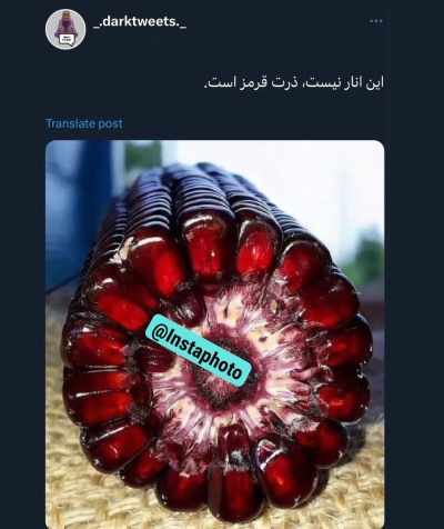 عکس