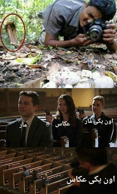 عکس