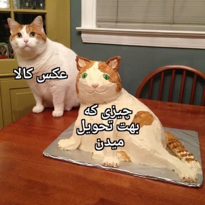 عکس
