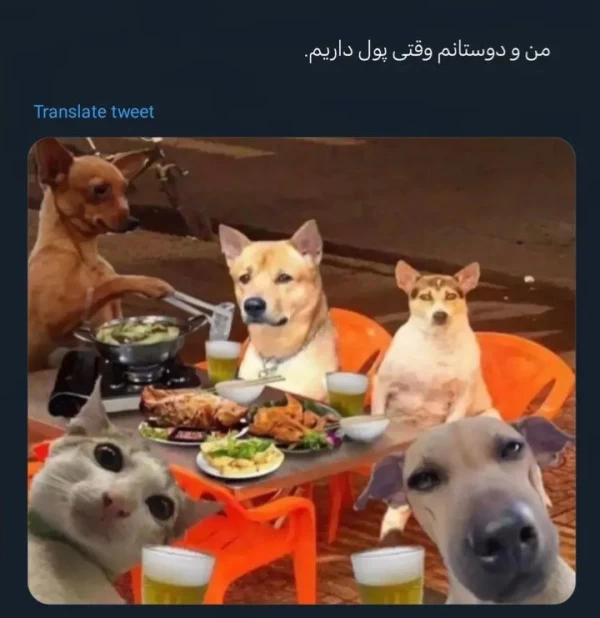 عکس