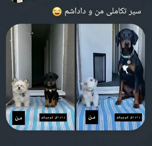عکس