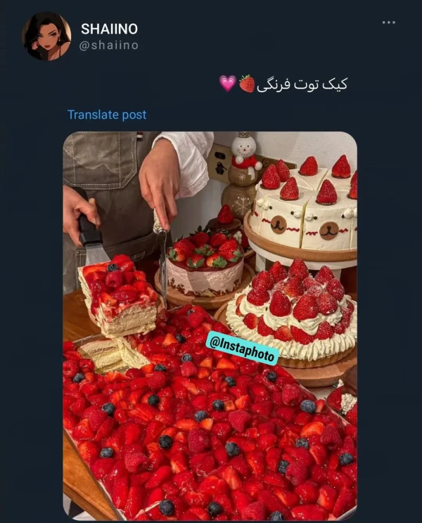 عکس