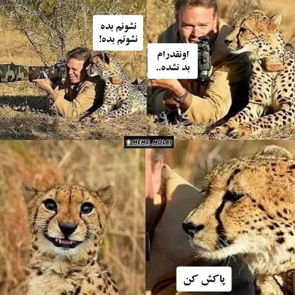عکس
